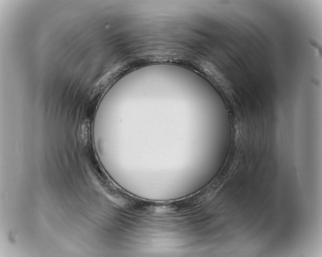 X0000103280165200808291054
