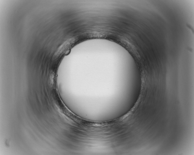 X0000103280166200808291054