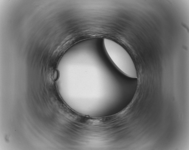 X0000103280170200808291054