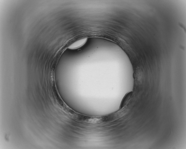 X0000103280172200808291054
