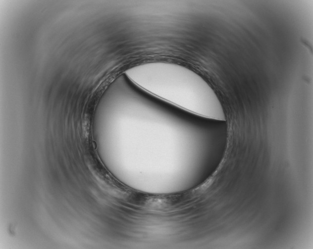 X0000103280174200808291054