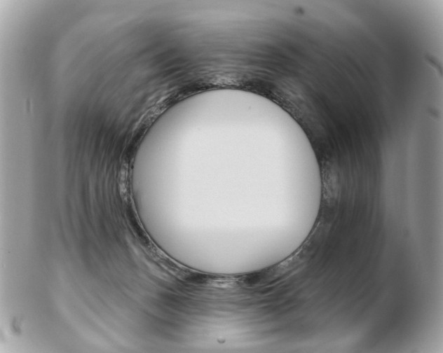 X0000103280175200808291054