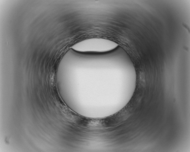 X0000103280177200808291054