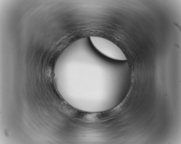 X0000103280178200808291054