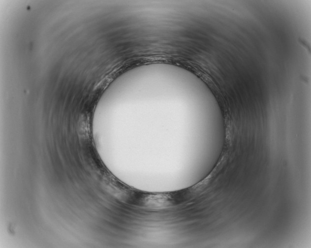 X0000103280179200808291054