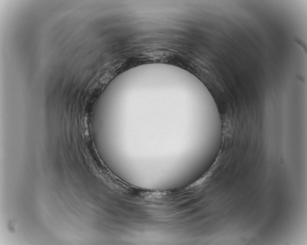 X0000103280182200808291054