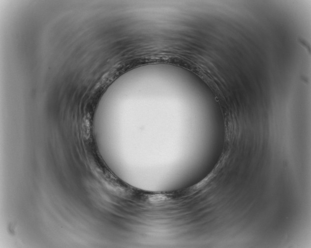 X0000103280183200808291054
