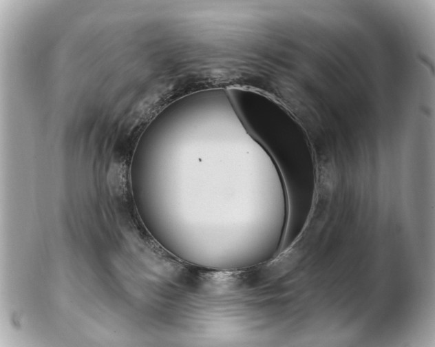 X0000103280184200808291054
