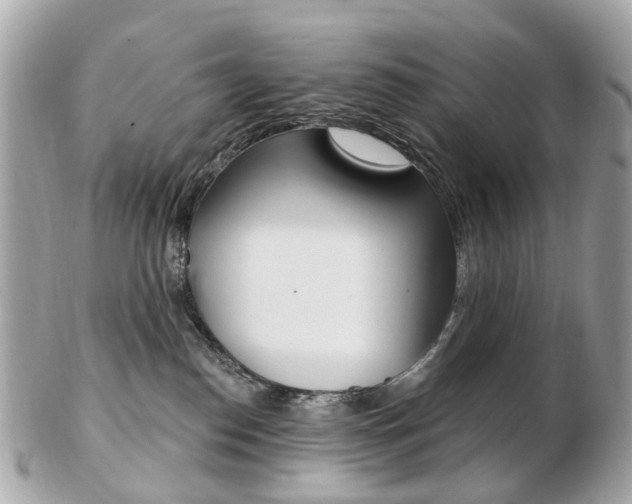 X0000103280186200808291054