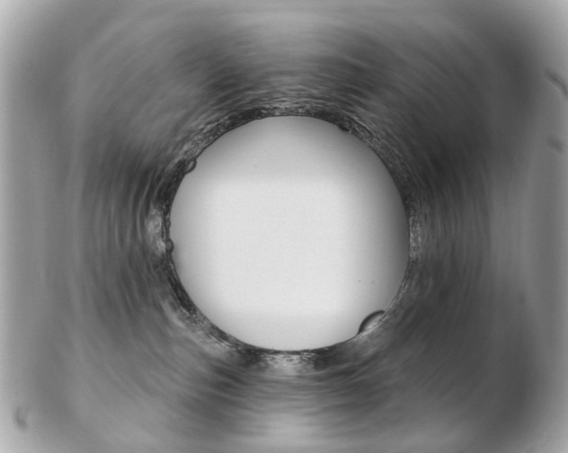 X0000103280187200808291054