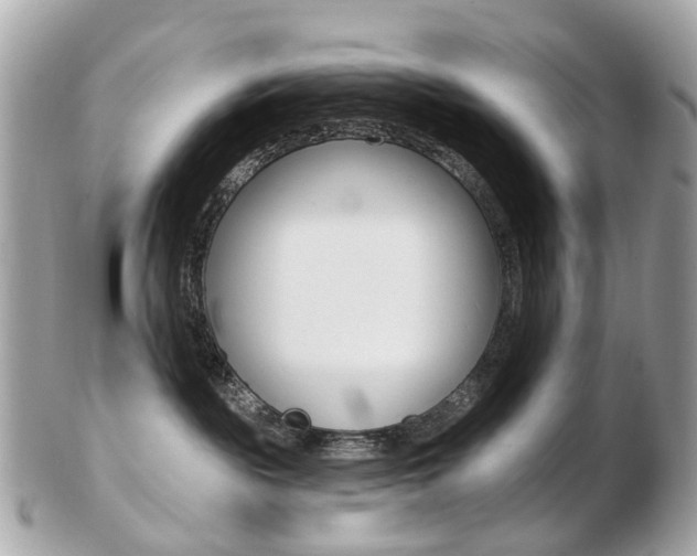 X0000103280189200808291054