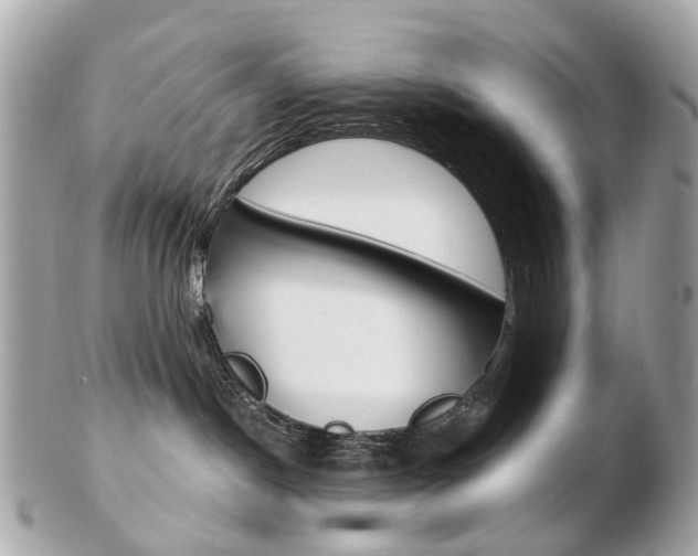 X0000103280190200808291054