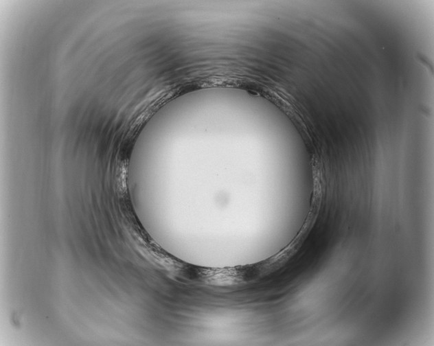 X0000103280191200808291054