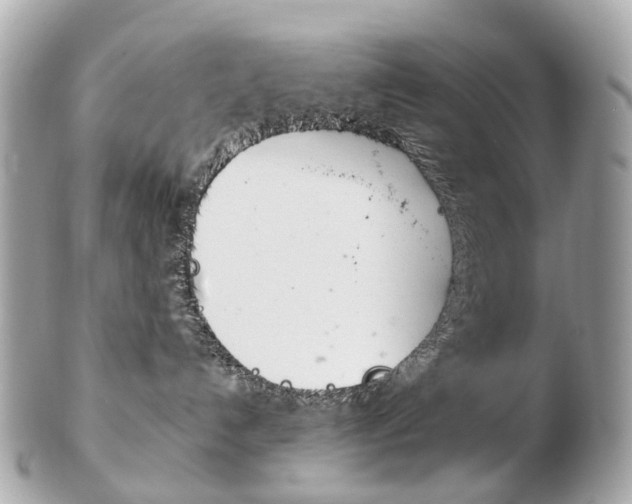 X0000103280192200808291054