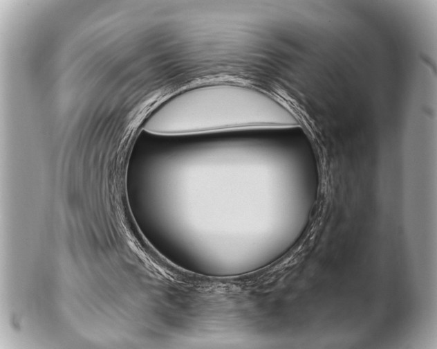 X0000103280193200808291053