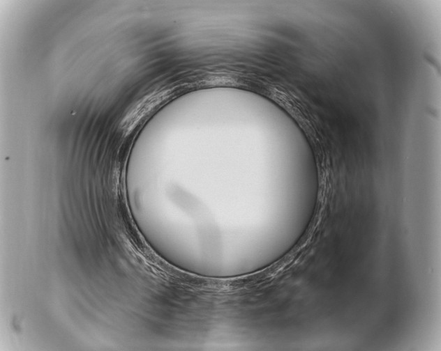 X0000103280194200808291053