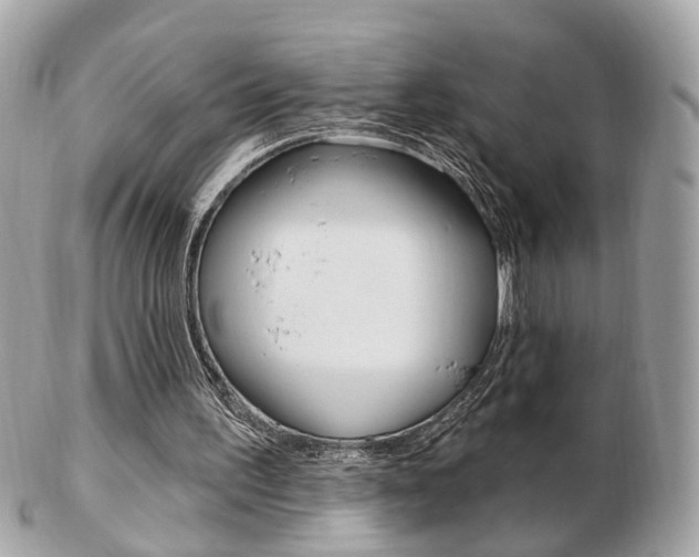 X0000103280195200808291053