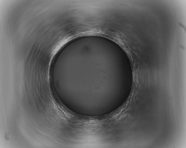 X0000103280196200808291053