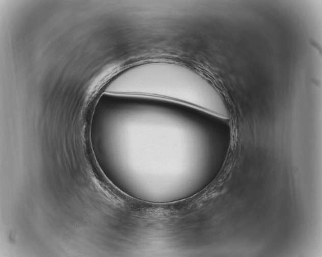 X0000103280197200808291053