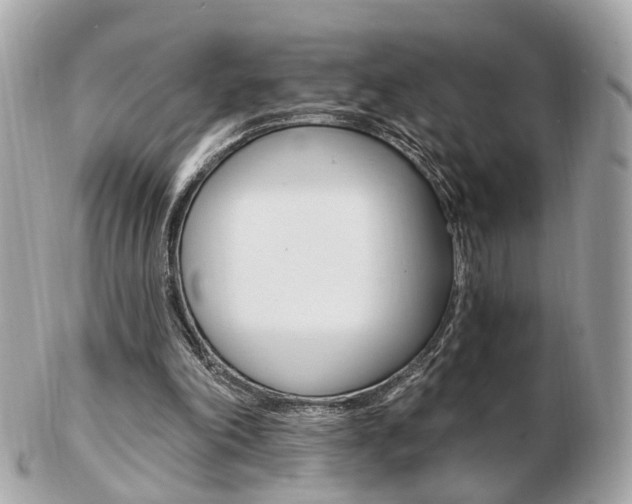 X0000103280198200808291053