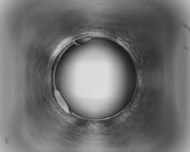X0000103280199200808291053