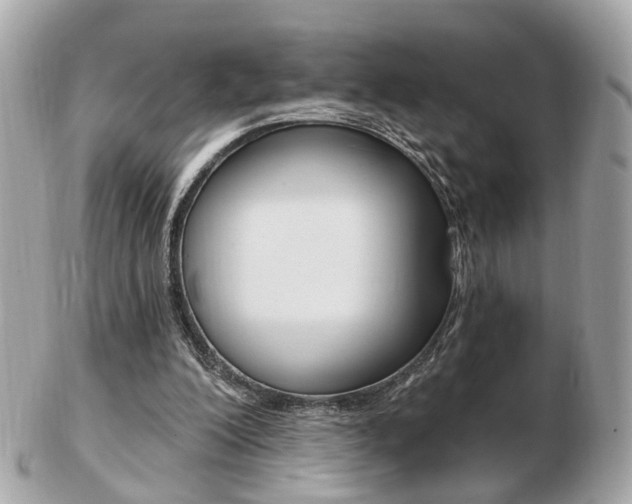 X0000103280200200808291053