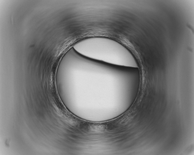 X0000103280202200808291053