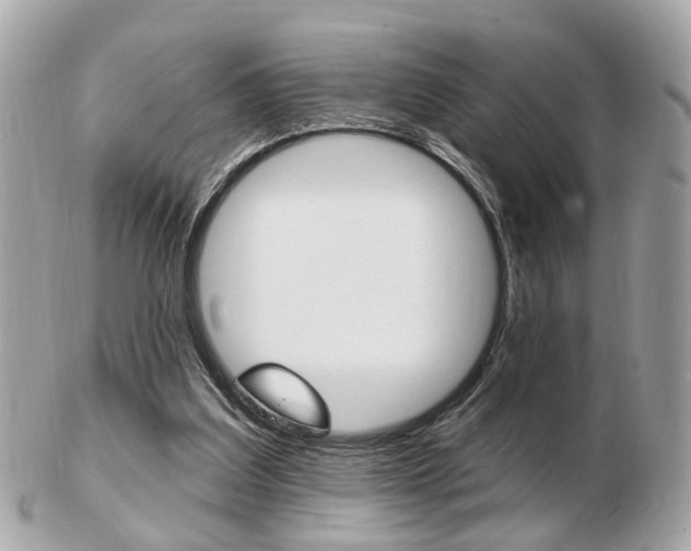 X0000103280203200808291053