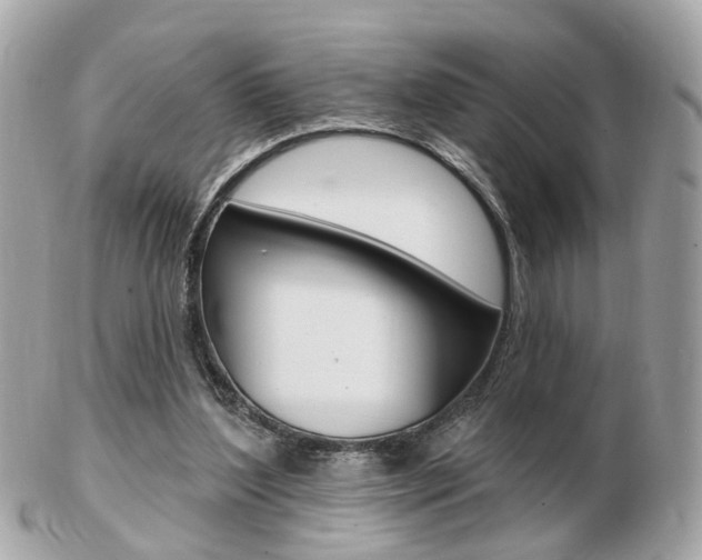 X0000103280204200808291053