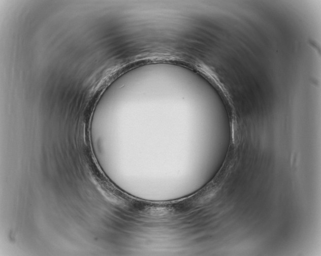 X0000103280205200808291053