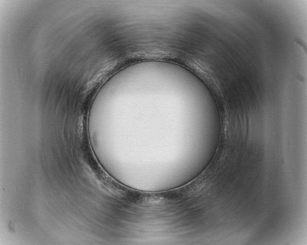 X0000103280206200808291053