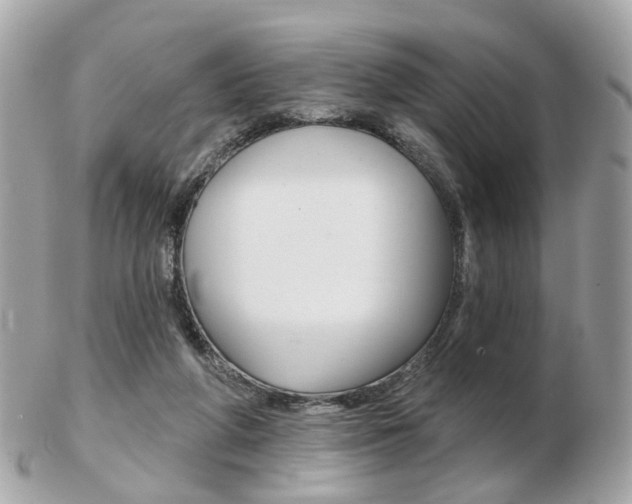X0000103280210200808291053