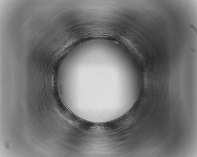 X0000103280211200808291053