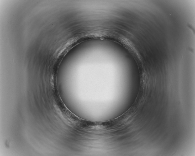 X0000103280212200808291053