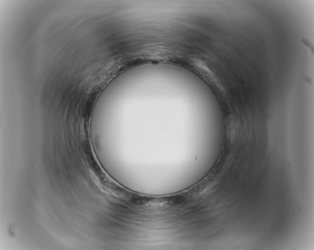 X0000103280213200808291053