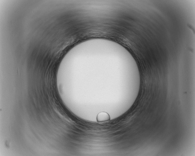 X0000103280215200808291053