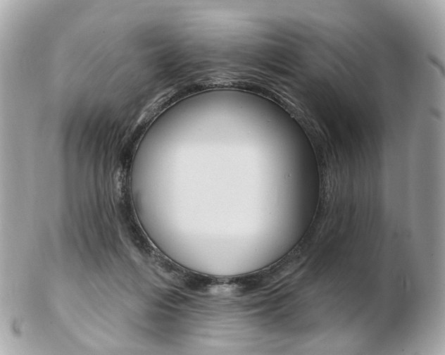 X0000103280216200808291053