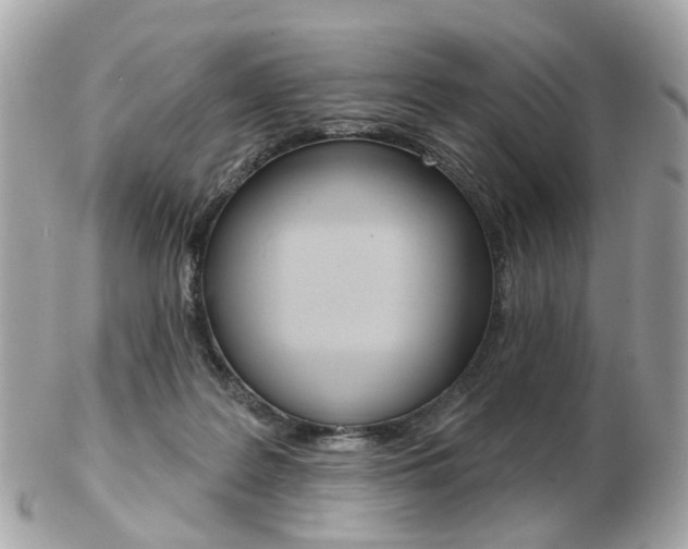 X0000103280219200808291053