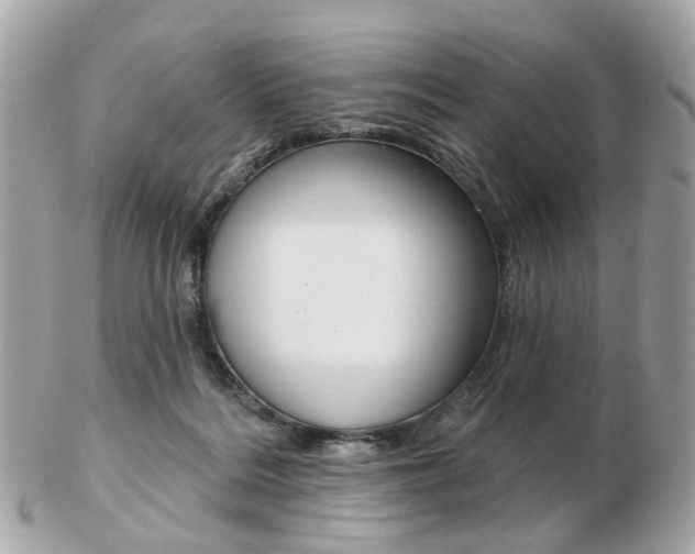 X0000103280220200808291053