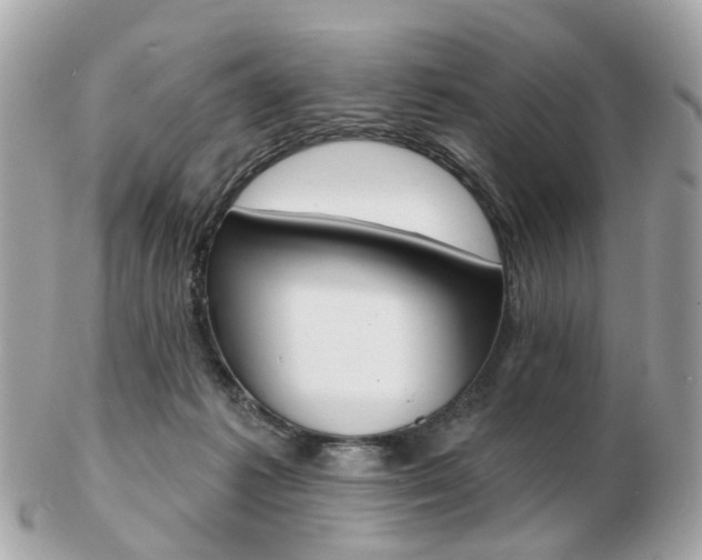 X0000103280221200808291053