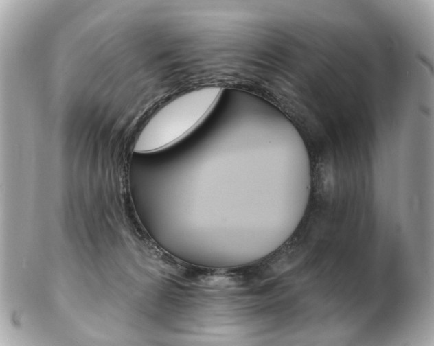 X0000103280224200808291053
