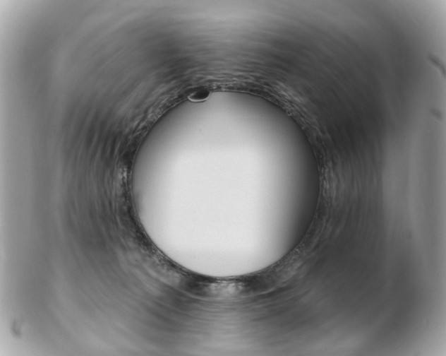 X0000103280225200808291053