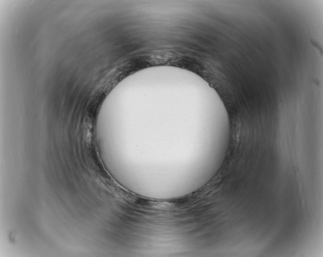 X0000103280226200808291053
