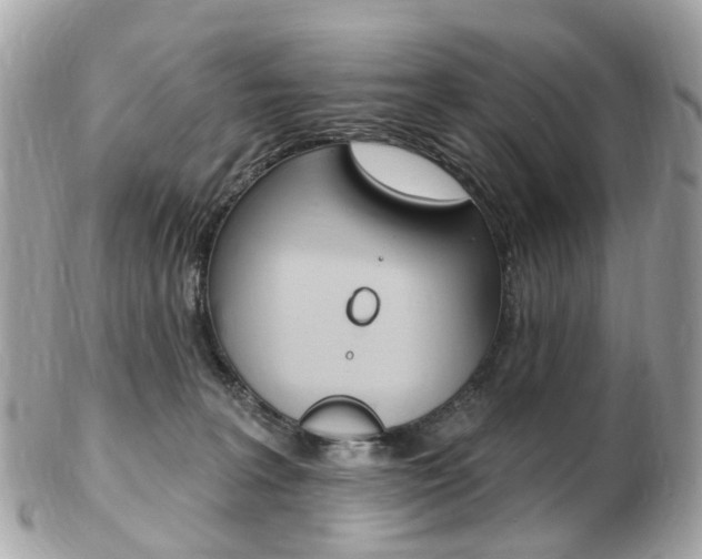 X0000103280227200808291053