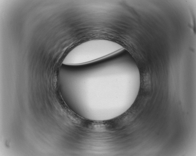 X0000103280228200808291053