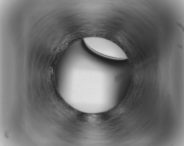 X0000103280229200808291053