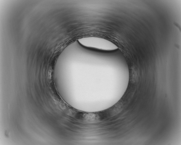 X0000103280230200808291053