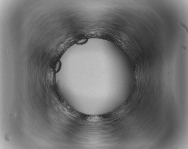 X0000103280231200808291053