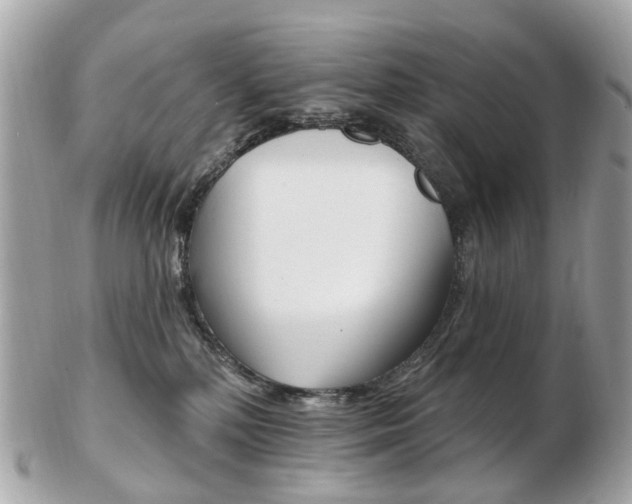X0000103280232200808291053
