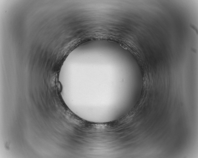 X0000103280233200808291053
